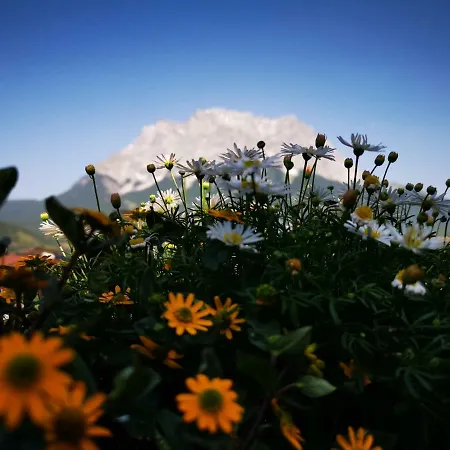 Διαμέρισμα Landvilla Romantika Lermoos