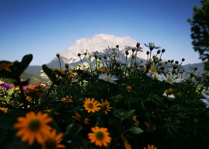 Appartement Landvilla Romantika Lermoos