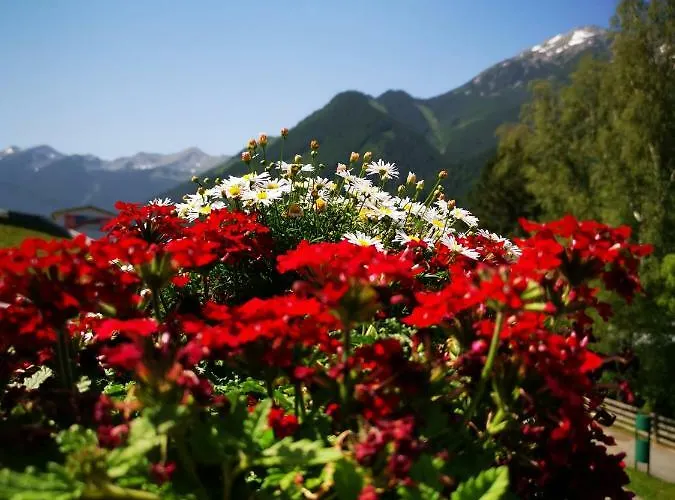 Landvilla Romantika Appartement *