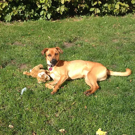 Landvilla Romantika Appartamento Lermoos